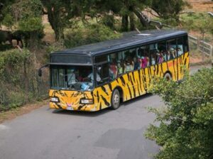 六福村猛獸巴士