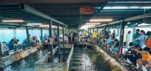 宜蘭親子釣蝦場地:Lanyang Crab Farm