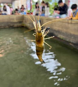 宜蘭大眾親子釣蝦場