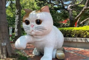 門票資訊與優惠策略