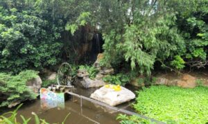 小叮噹科學園區適合年齡