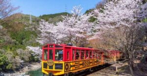 嵯峨野浪漫小火車