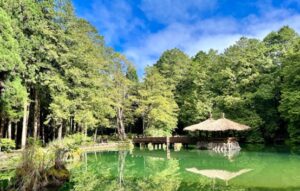 暑假親子遊必去打卡九:阿里山森林鐵路+姊妹潭(嘉義)