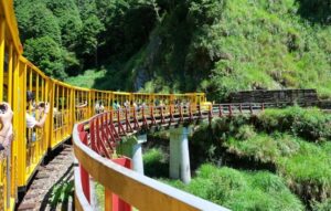 暑假親子遊必去打卡一:太平山森林遊樂區(宜蘭)