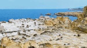 暑假親子遊必去打卡二:和平島地質公園+潮境智能海洋館(基隆)