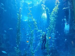 暑假親子遊必去打卡四:國立海洋生物博物館(屏東)