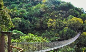 暑假親子遊必去打卡七:小烏來天空步道(桃園)