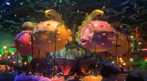 旋轉海豚遊戲項目