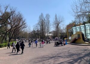 首爾 兒童 大 公園冬季