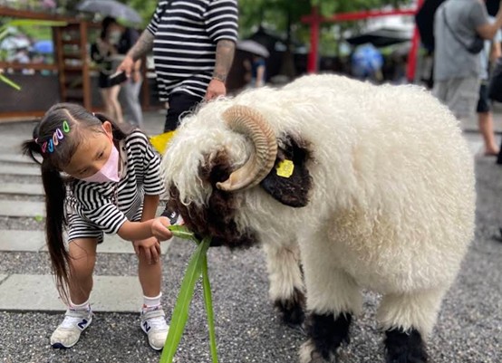 張美阿嬤農場停留時間