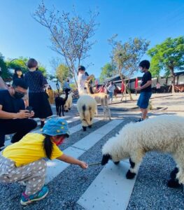 張美阿嬤農場停留時間 