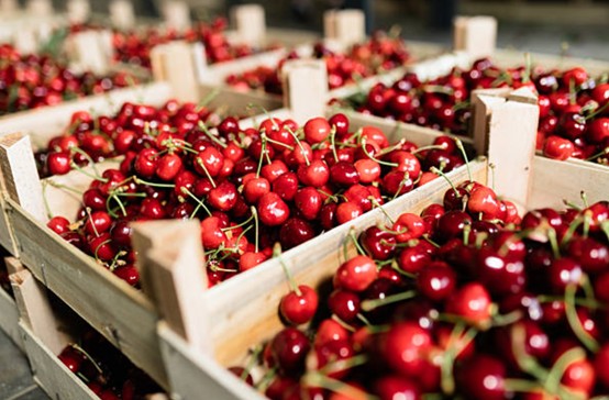 水果可以帶出國嗎