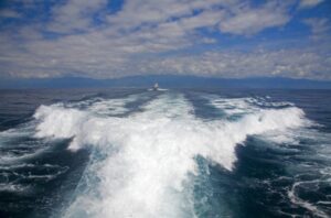 龜山島賞鯨月份