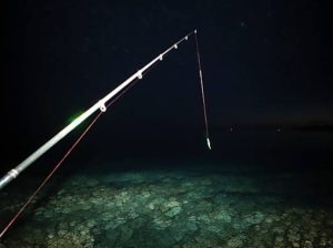 夜釣小管常見避坑地雷