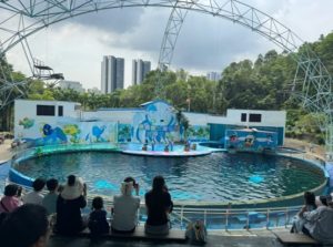 深圳親子好去處