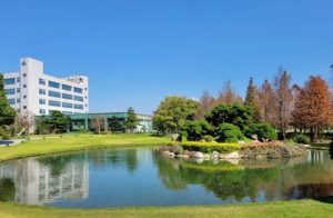 中部適合老人的景點6. 成美文化園