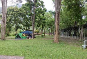 南部親子露營區推薦8. 台南楠西 曾文青年活動中心露營場