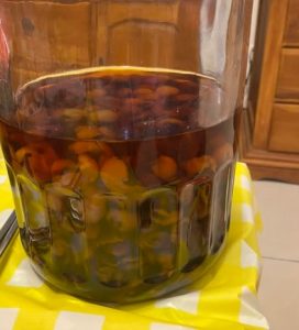 埔里酒廠必買 5. 酒釀桂圓