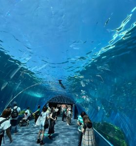 橫濱八景島海洋公園