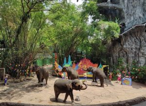 曼谷野生動物園
