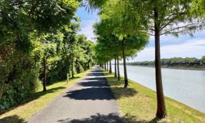 北部騎腳踏車景點