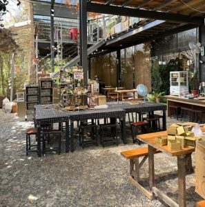 埔里親子景點9.埔里多肉秘境