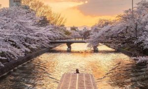 日本旅遊城市排名