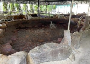 金崙溫泉純泡湯推薦5.富之山溫泉民宿