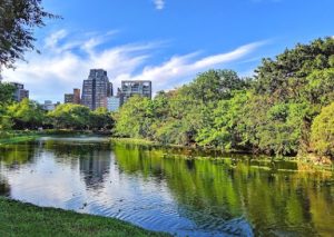 台北散心好去處