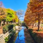 台北散心好去處