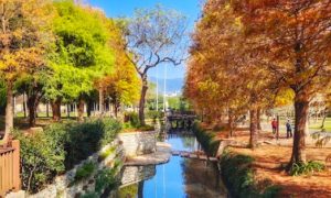 台北散心好去處