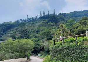 非一般香港拍拖好去處