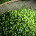 茶葉出國伴手禮怎麼帶