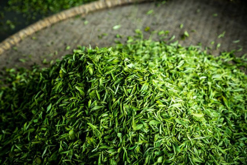 茶葉出國伴手禮怎麼帶